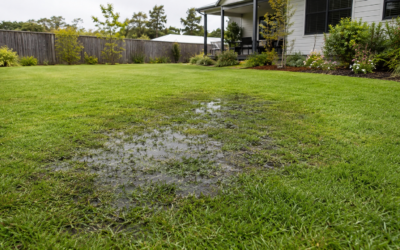 Why Is One Patch of Your Lawn Always Wet?